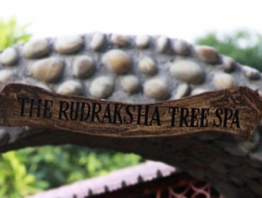 rudraksh tree spa